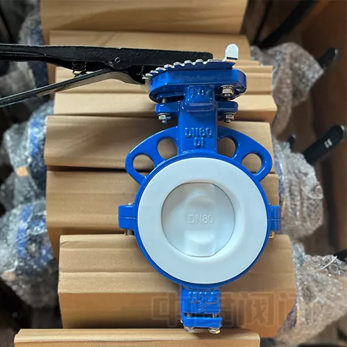 바디를 완전히 ptfe 라인 나비 밸브